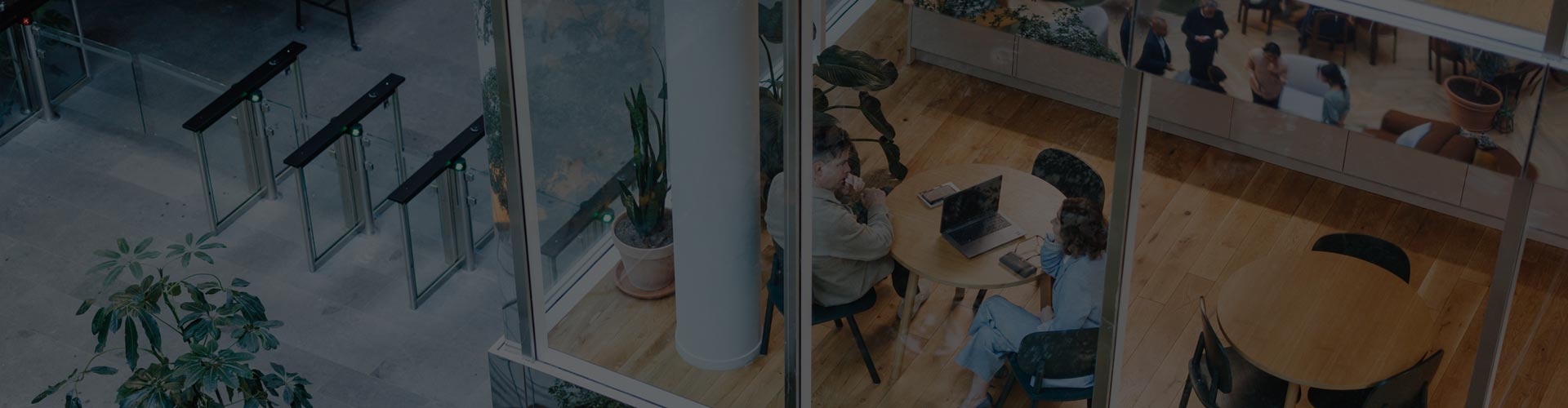 transition support qualifications banner